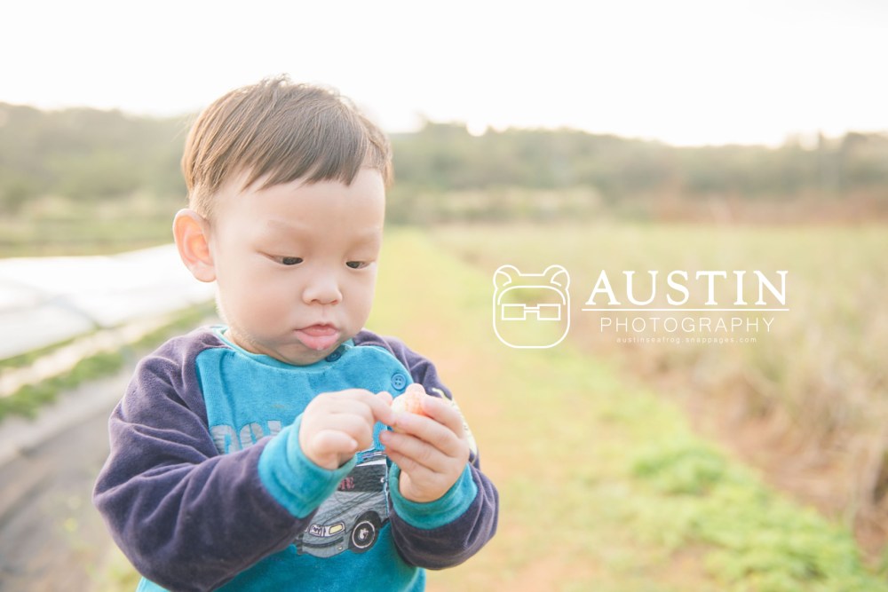 海蛙攝影/婚攝海蛙婚禮攝影/親子寫真/家庭寫真/水車公園