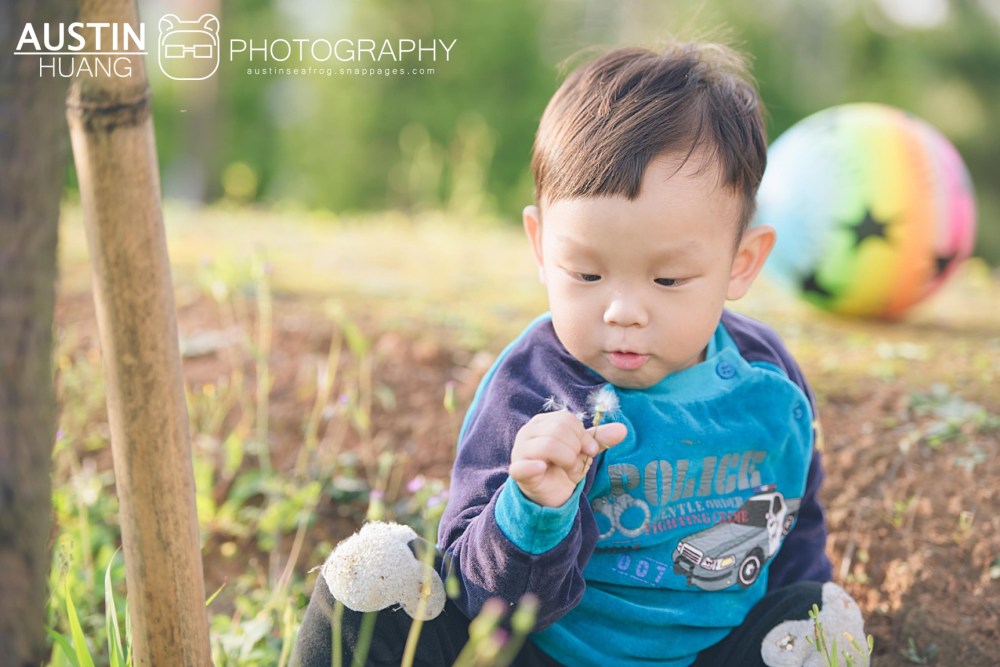 海蛙攝影/婚攝海蛙婚禮攝影/親子寫真/家庭寫真/水車公園
