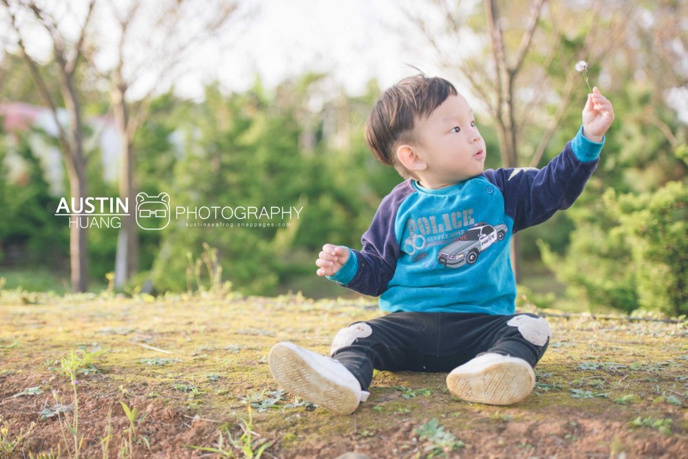 海蛙攝影/婚攝海蛙婚禮攝影/親子寫真/家庭寫真/水車公園