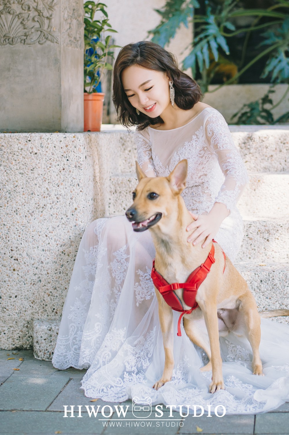 婚紗照/海蛙攝影/austin/hiwow.studio/寵物婚紗/自助婚紗/情侶寫真/黑森林/龍舟婚紗/龍舟/富錦街