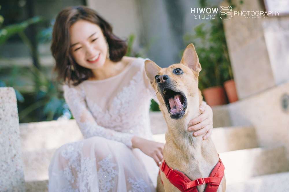 婚紗照/海蛙攝影/austin/hiwow.studio/寵物婚紗/自助婚紗/情侶寫真/黑森林/龍舟婚紗/龍舟/富錦街