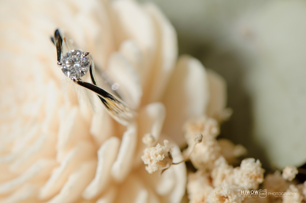 海蛙攝影:austin:hiwal.studio:婚攝:自助婚紗:婚禮紀錄:三重:彭園114