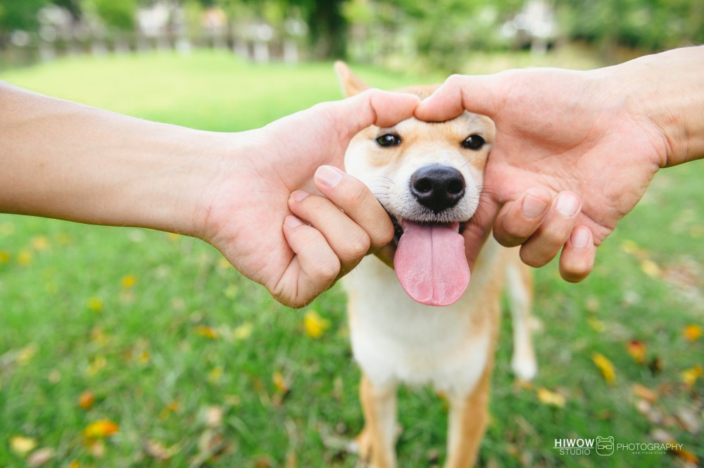 海蛙攝影-同志婚紗-同性婚紗-自助婚紗--3